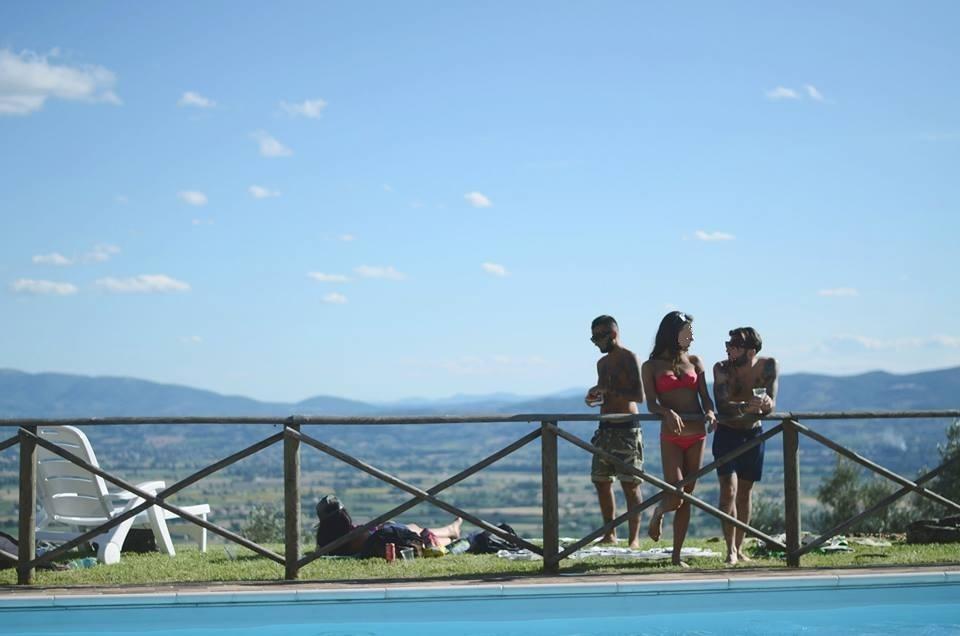 Gabbiano * Capodacqua (Assisi)
