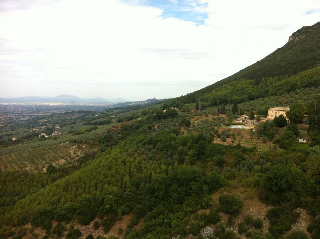 Gabbiano